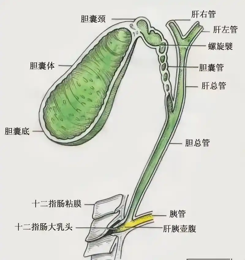 圖文圖片
