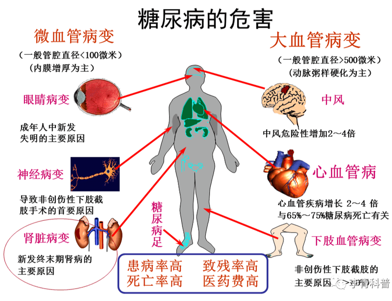 圖文圖片