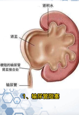 圖文圖片