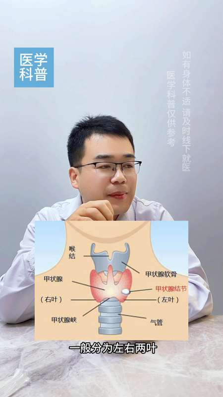 什么是甲状腺