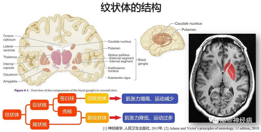 圖文圖片