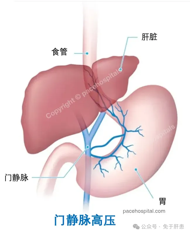 圖文圖片