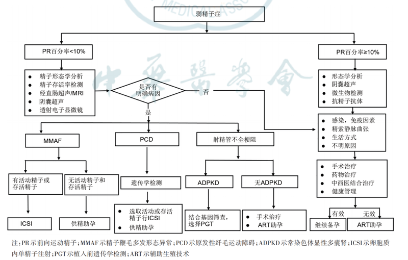 图文图片