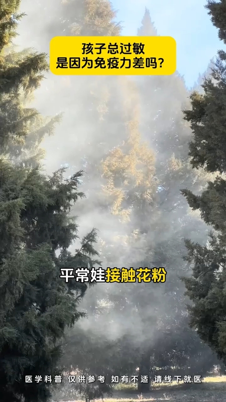 孩子总过敏，是免疫力低吗？（陕西方言版）