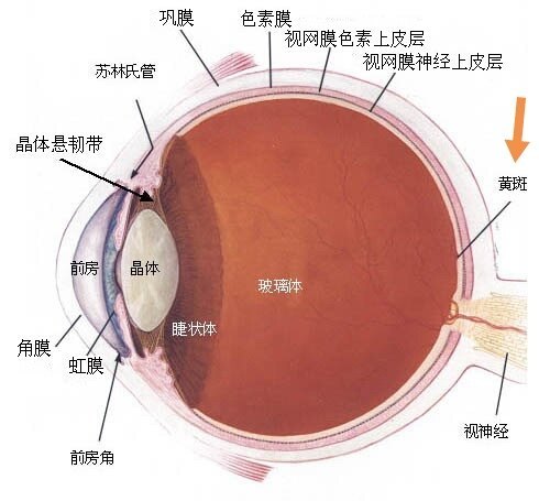 圖文圖片