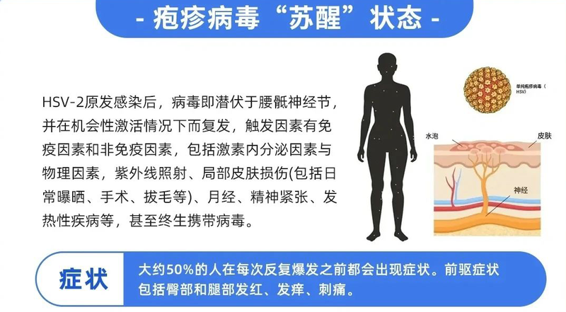 图文图片