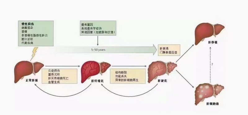 圖文圖片