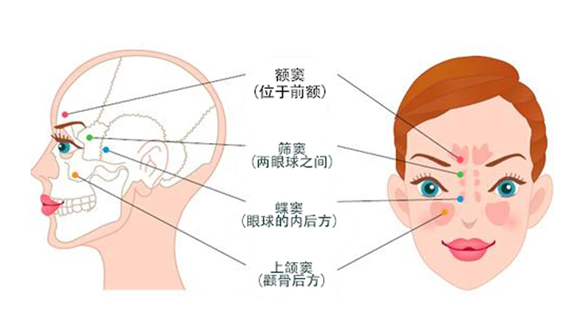 图文图片
