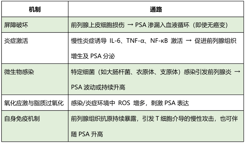 图文图片
