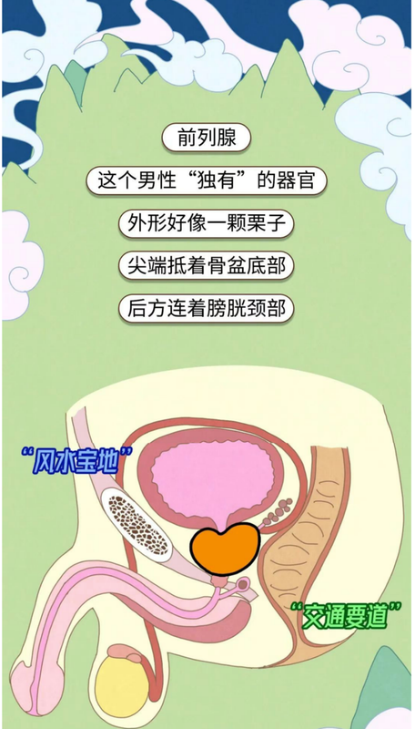 图文图片
