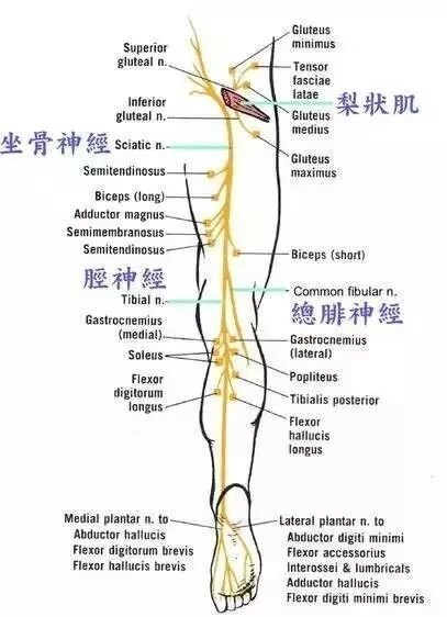 圖文圖片