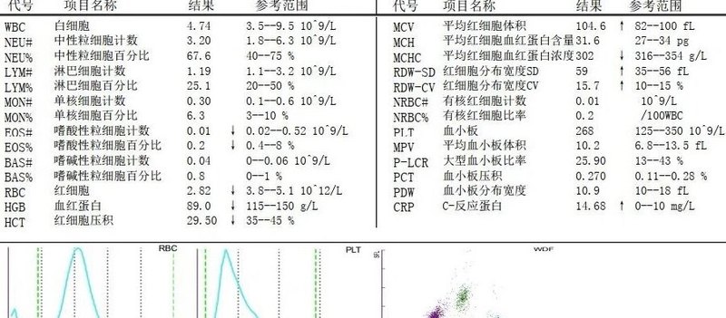 圖文圖片