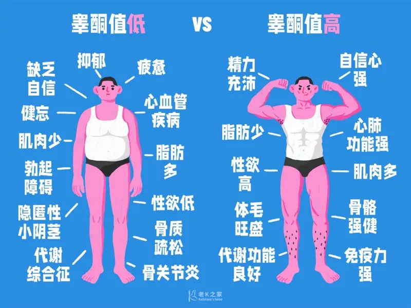 图文图片
