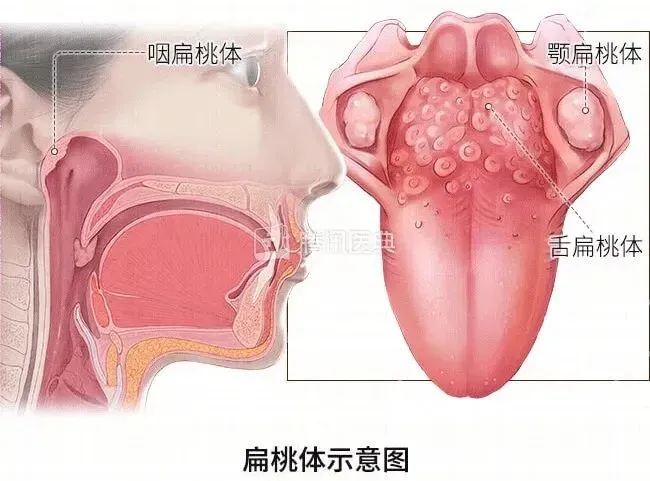 图文图片