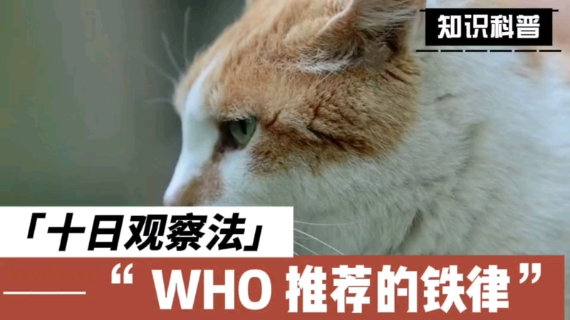 十日观察法，铁律！