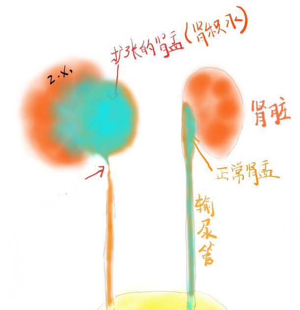 图文图片