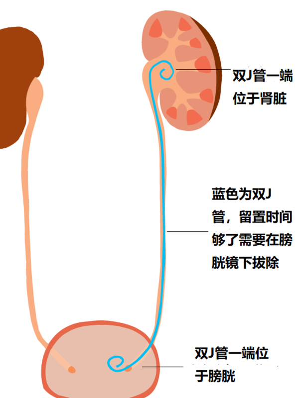 圖文圖片
