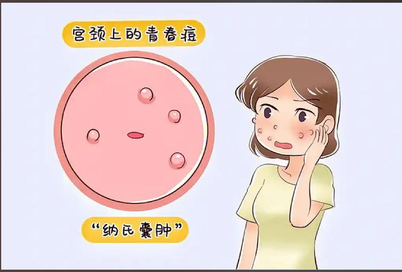 图文图片
