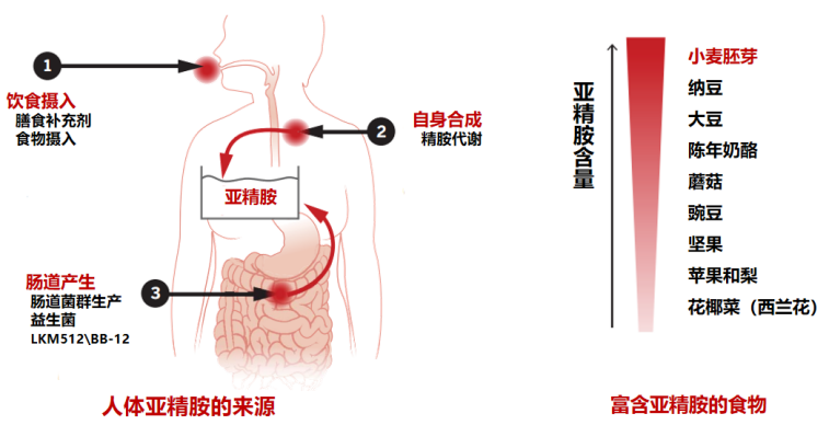 圖文圖片