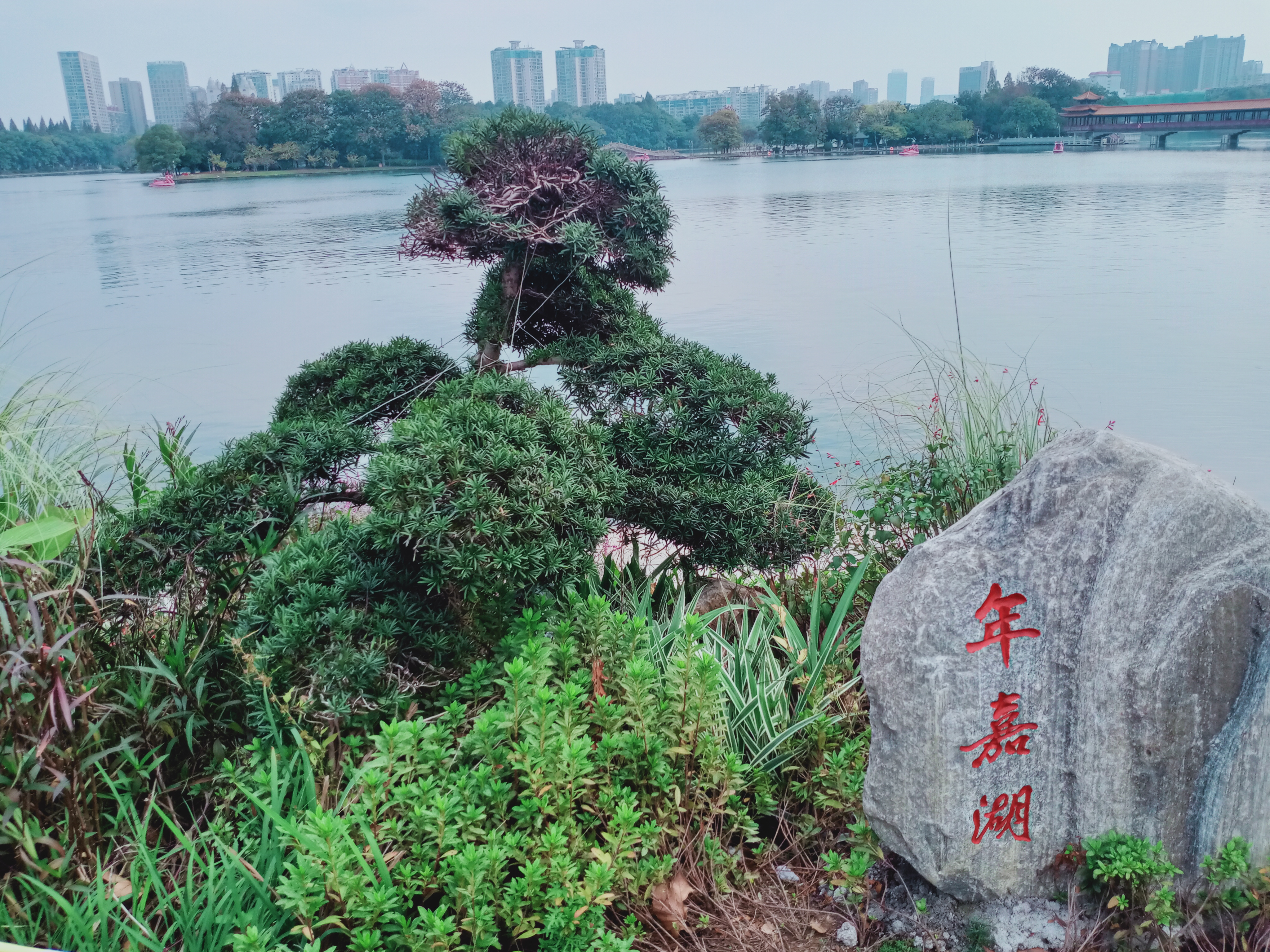 圖文圖片