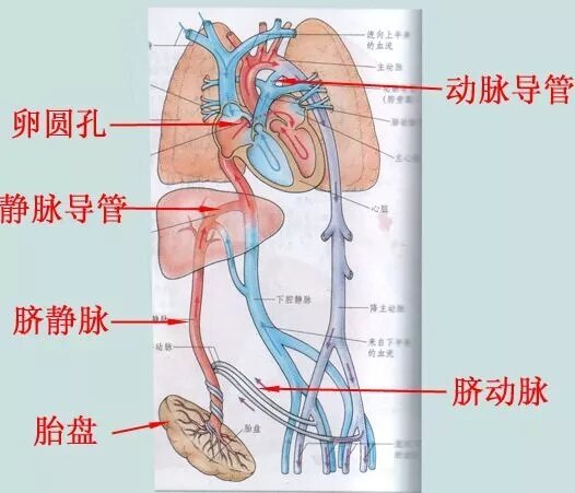 圖文圖片