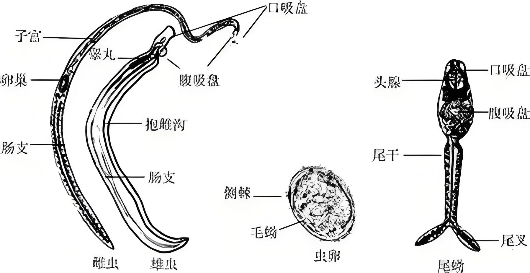 圖文圖片