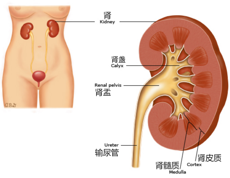 圖文圖片