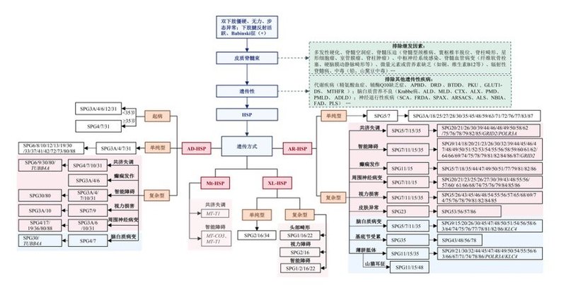 图文图片