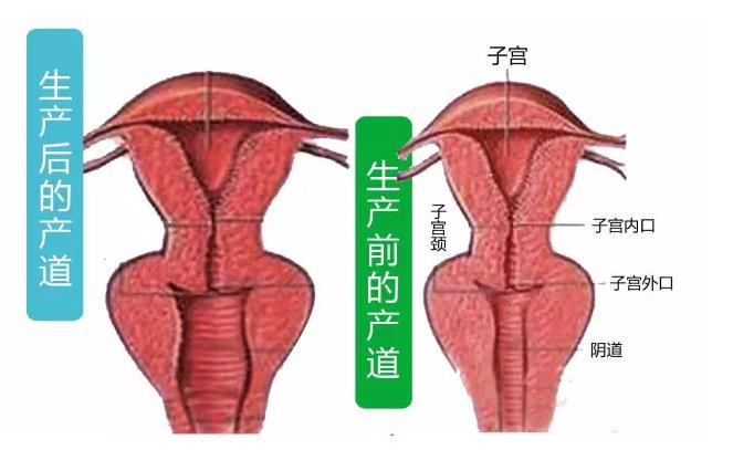 圖文圖片