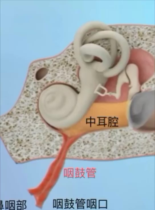 視頻封面