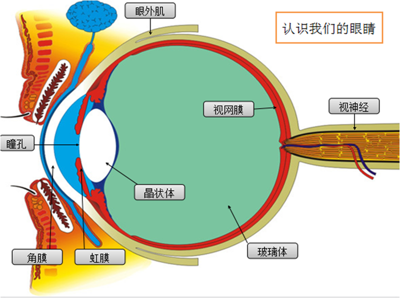 圖文圖片