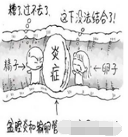 圖文圖片